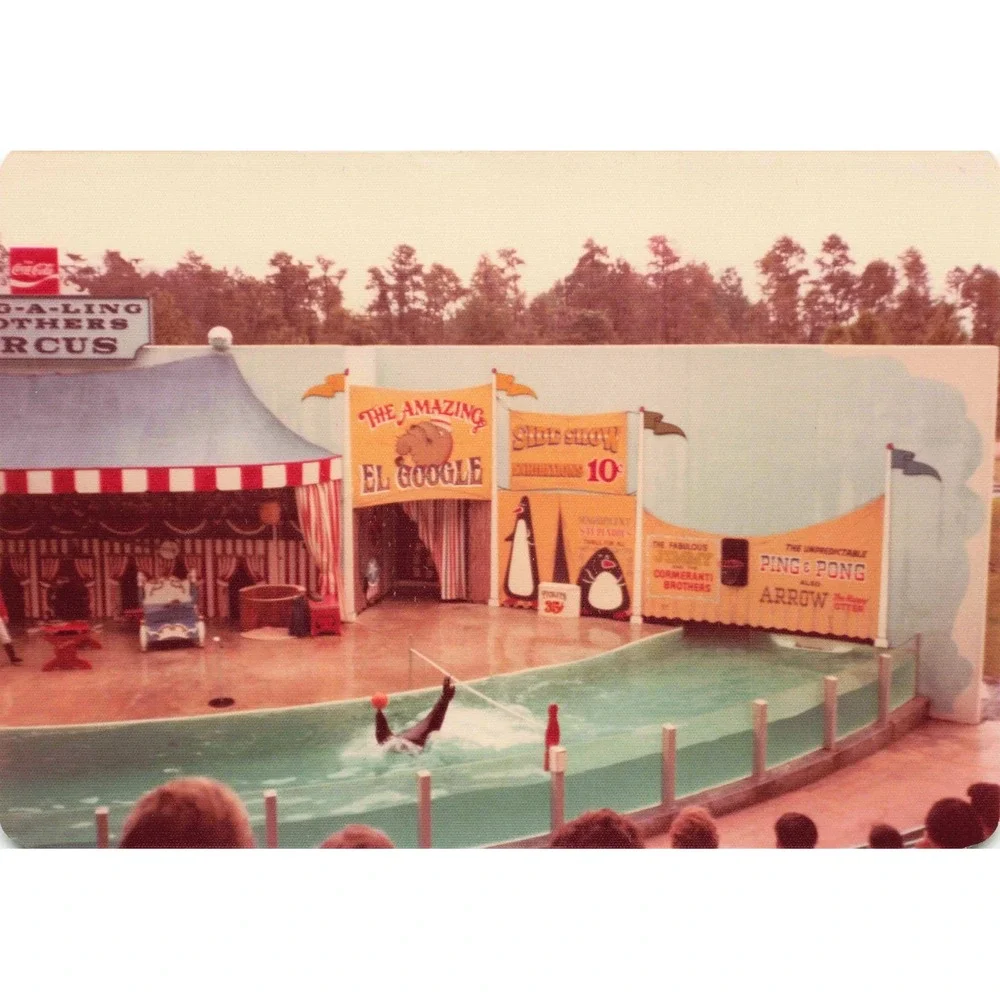 Vintage 1970s Ding-A-Ling Brothers Circus Sideshow Seal Act Photos Lot of 4 - Picture 4 of 4